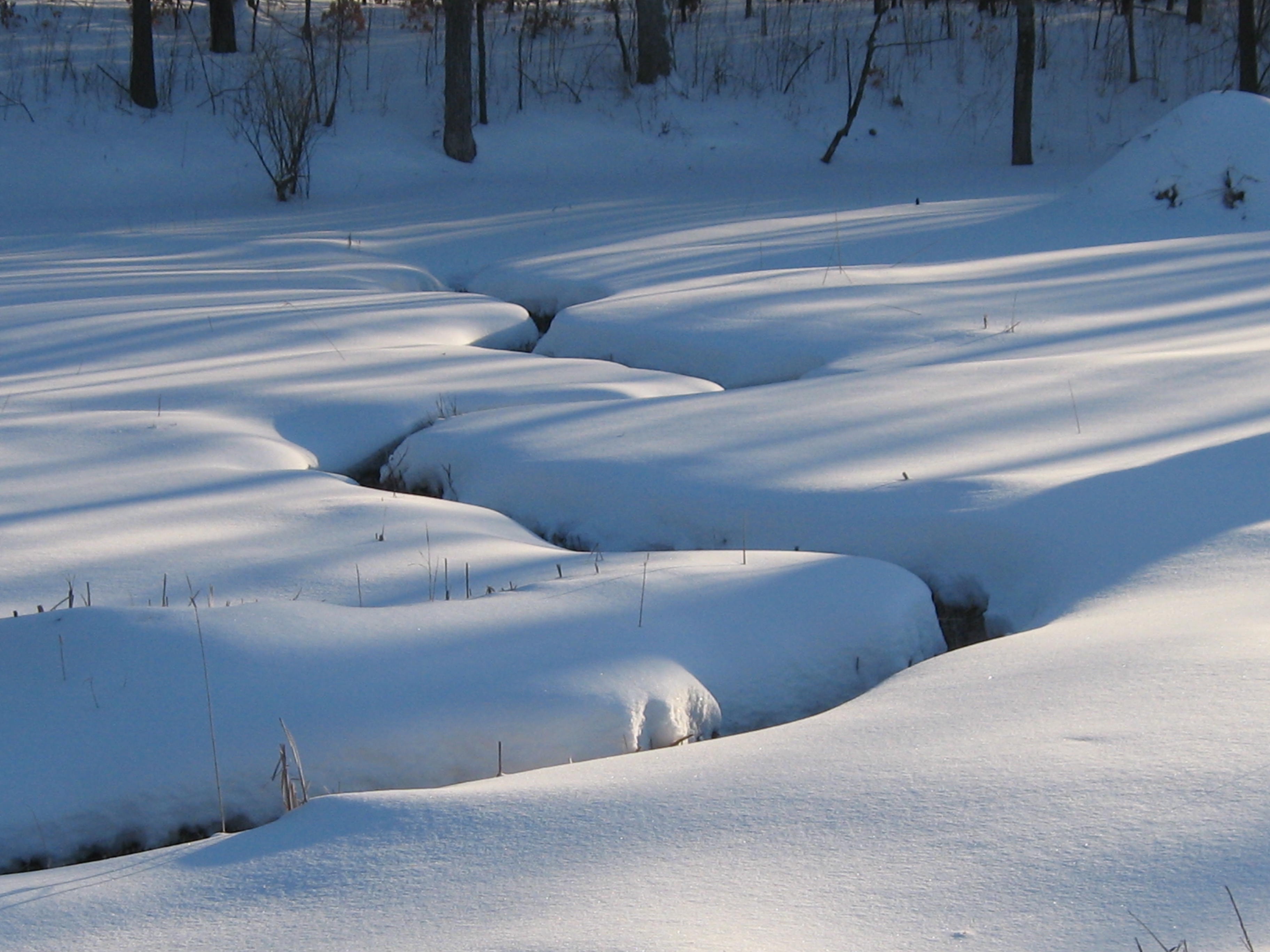 I Am The Buckthorn Man