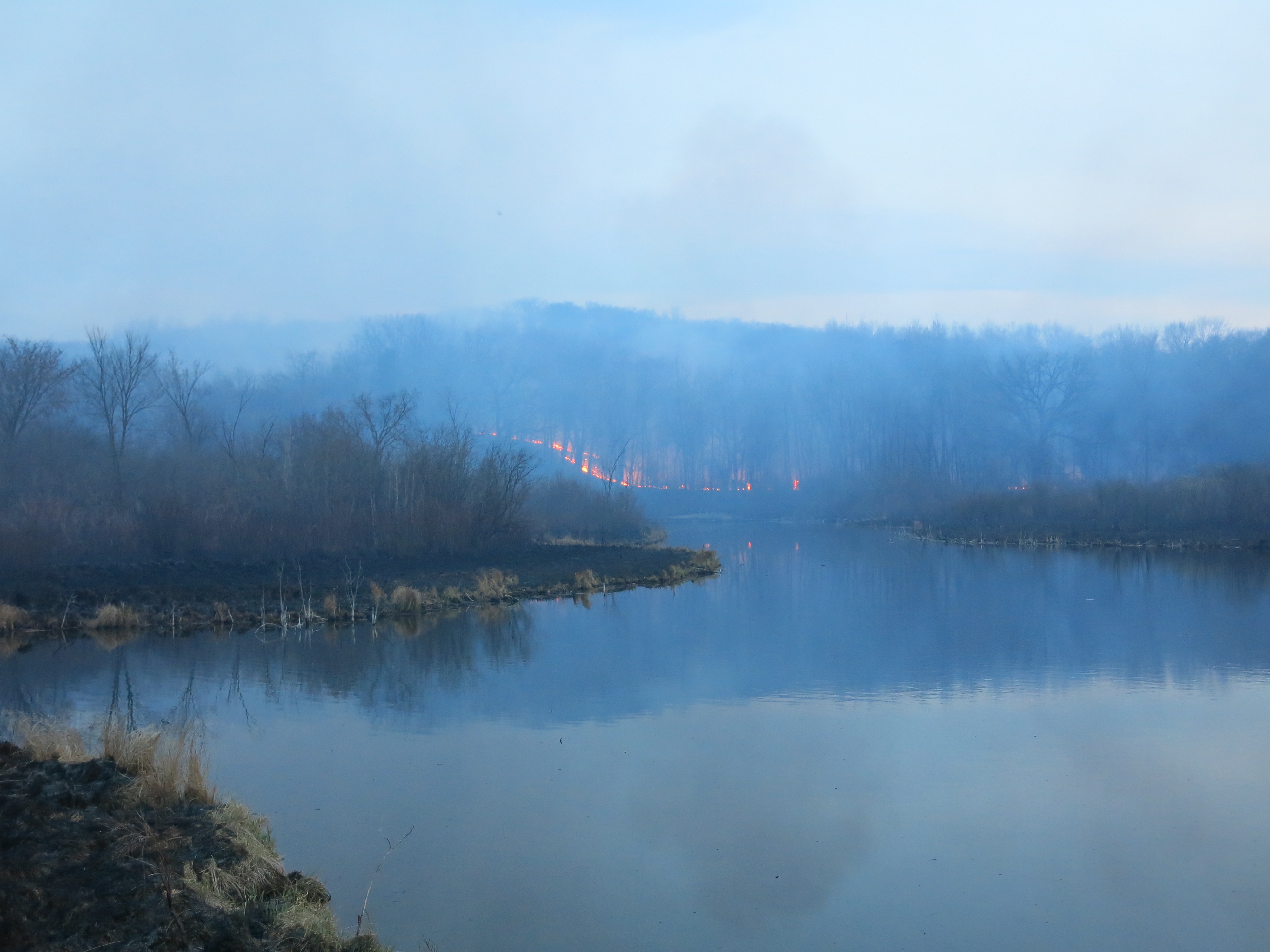 I Am The Buckthorn Man