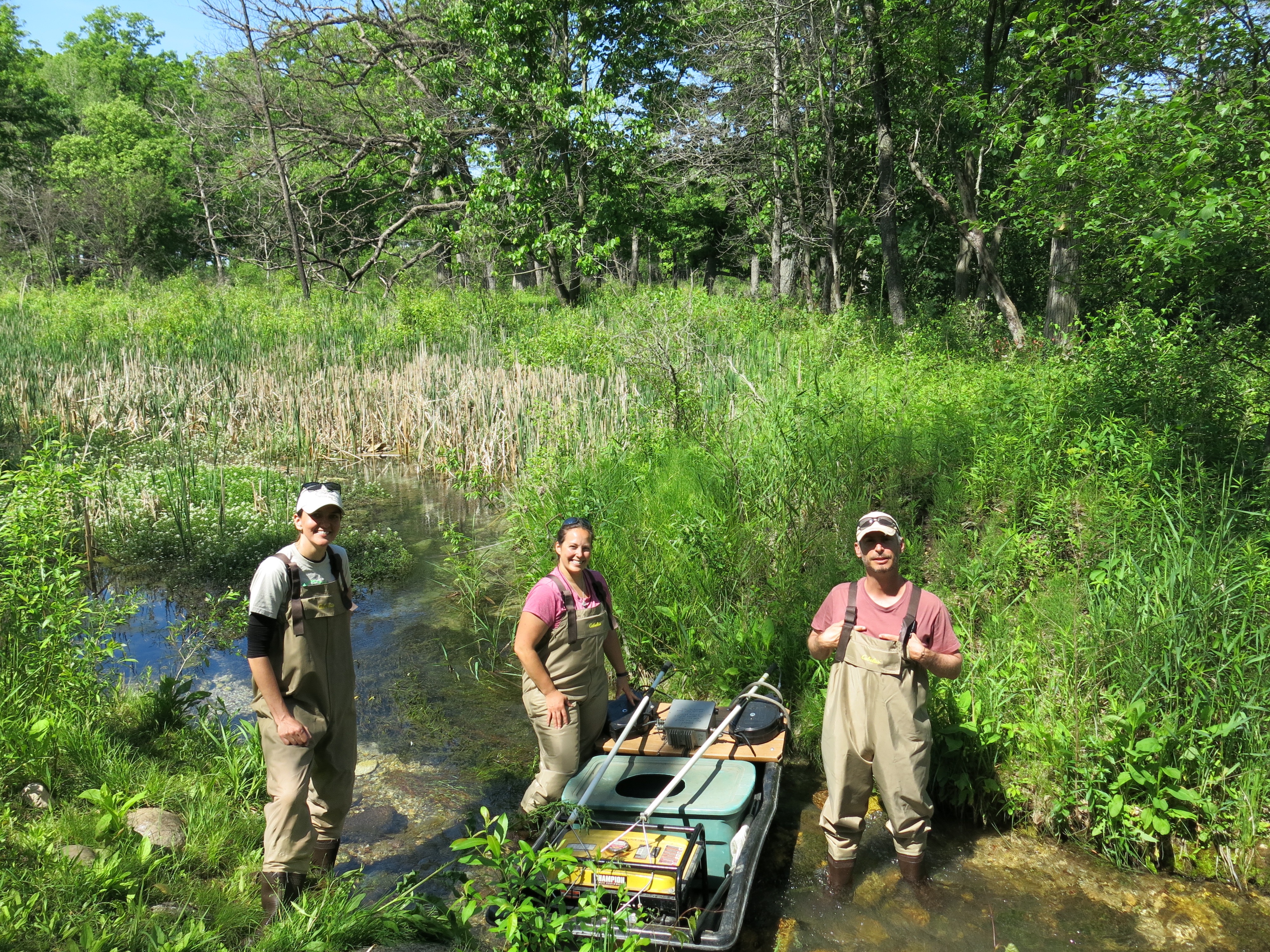 I Am The Buckthorn Man