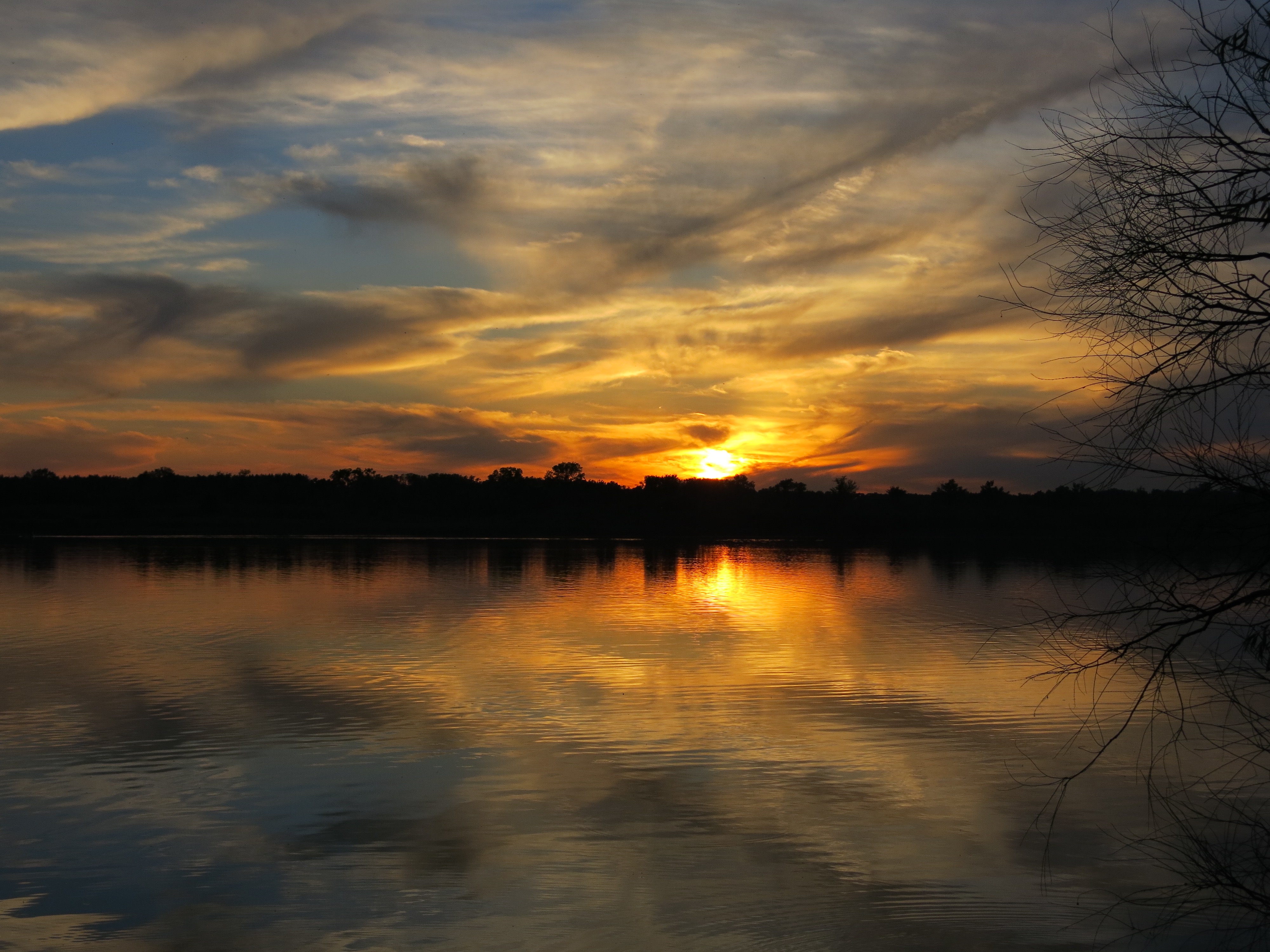 I Am The Buckthorn Man