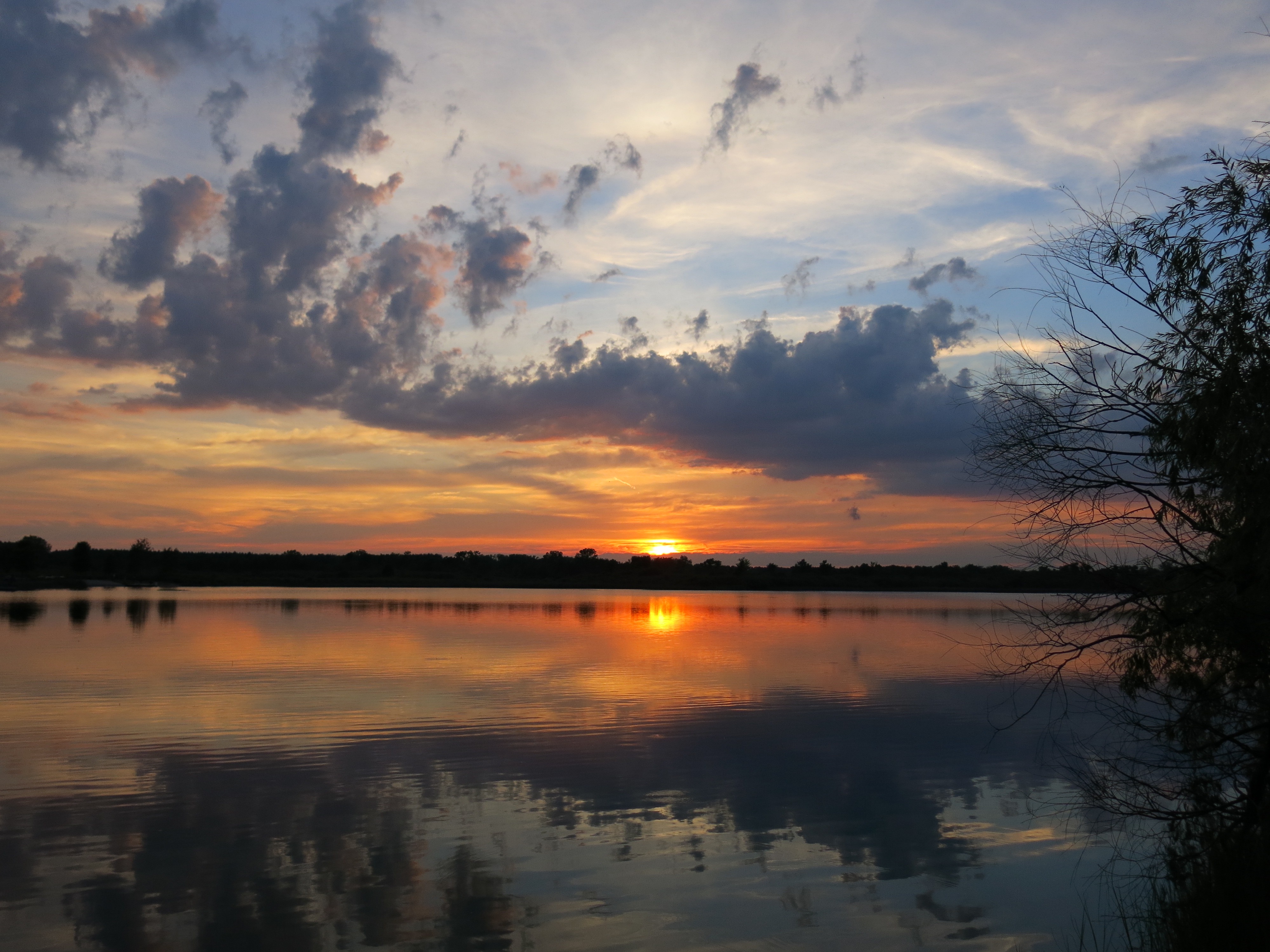 I Am The Buckthorn Man