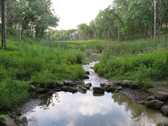 The Scuppernong Spring