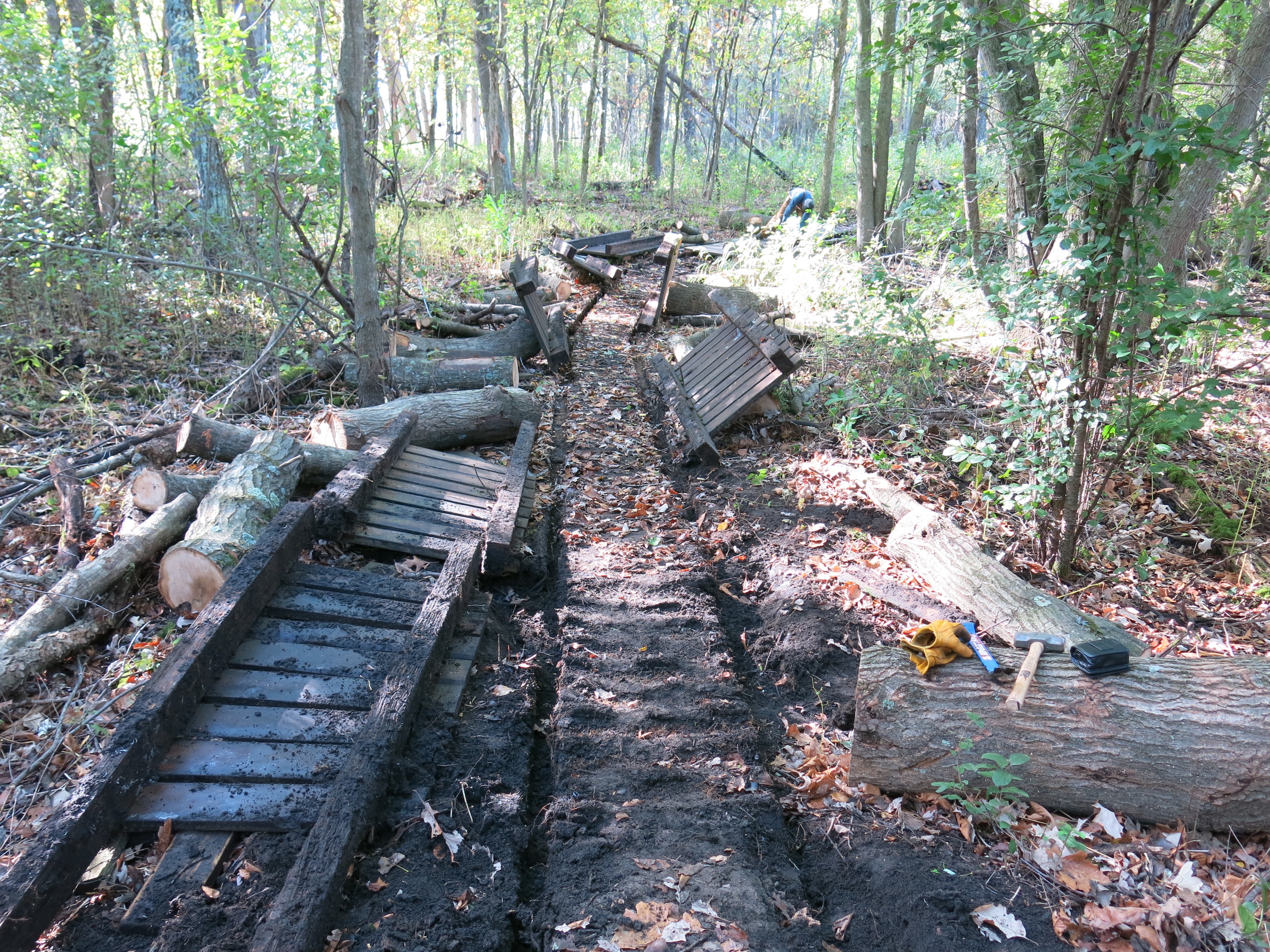 I Am The Buckthorn Man