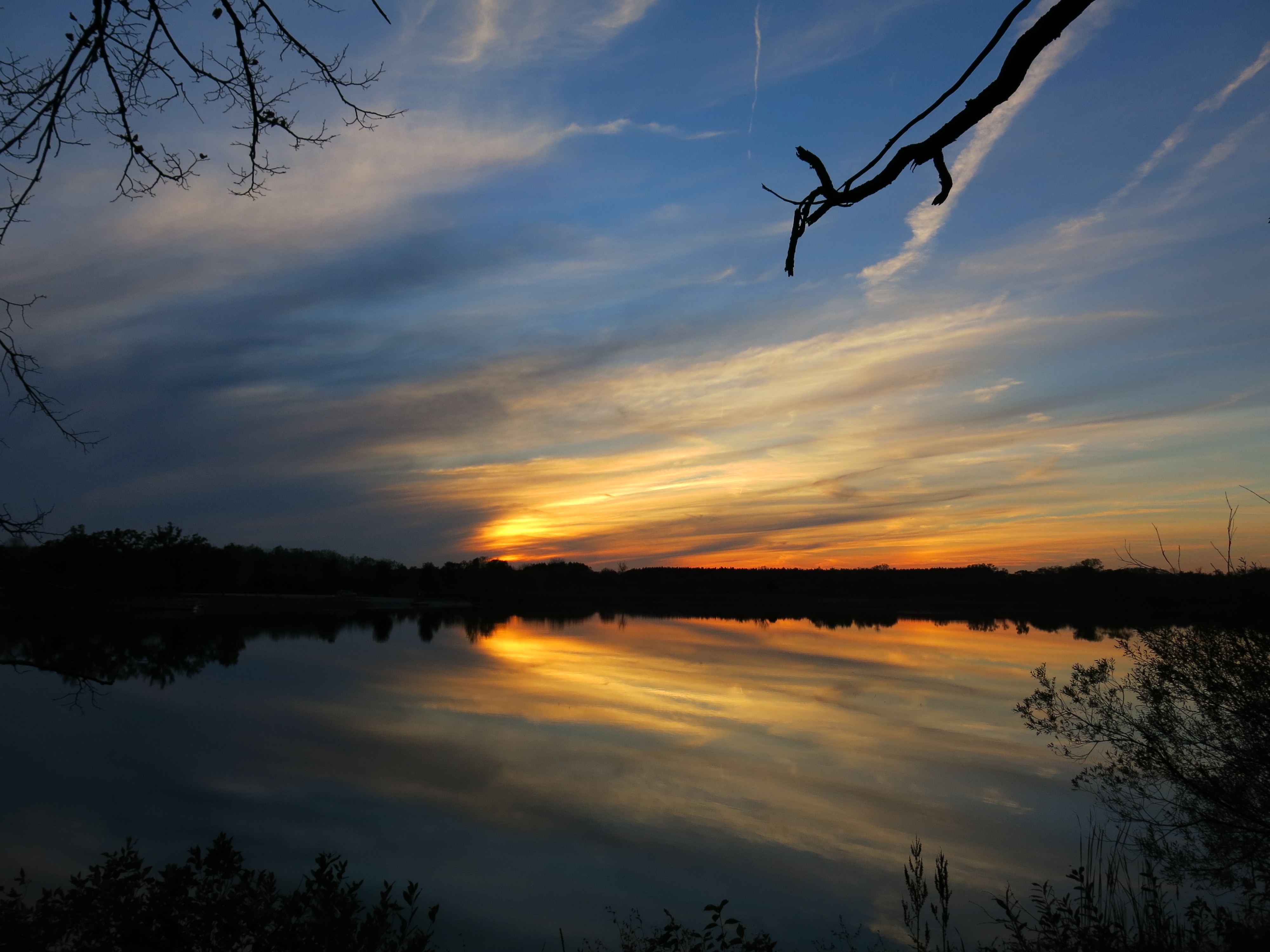 I Am The Buckthorn Man