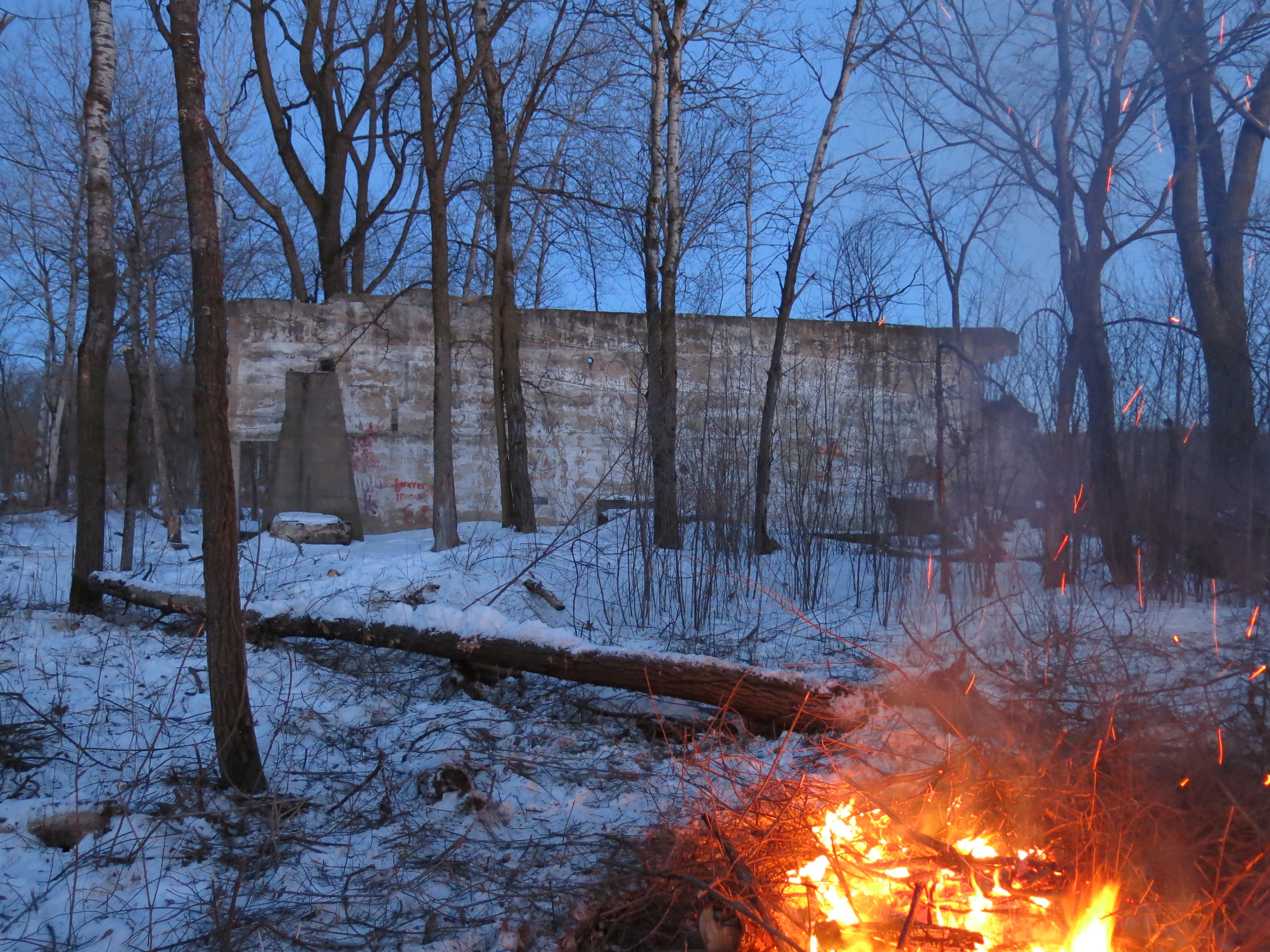 I Am The Buckthorn Man