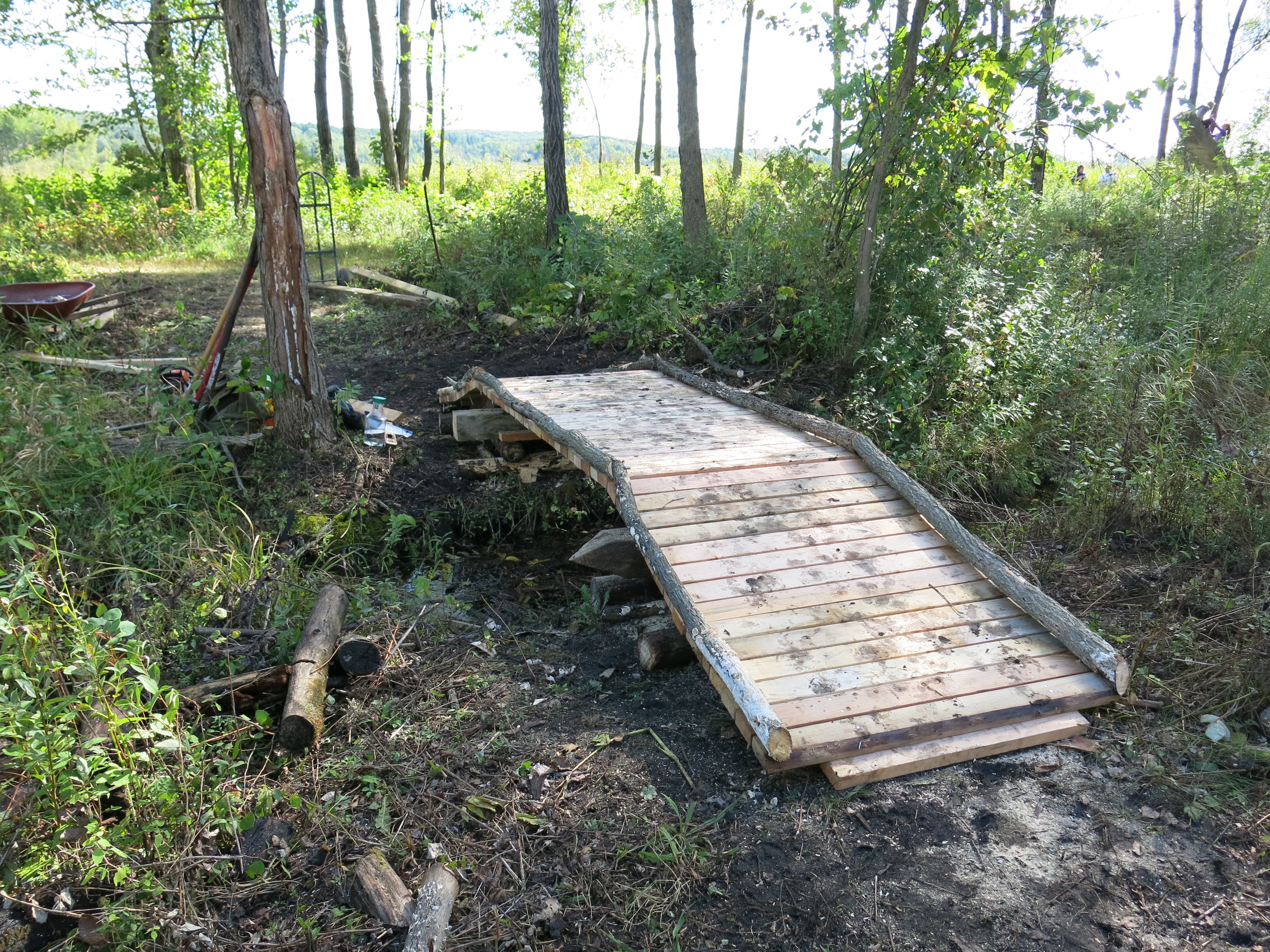 I Am The Buckthorn Man