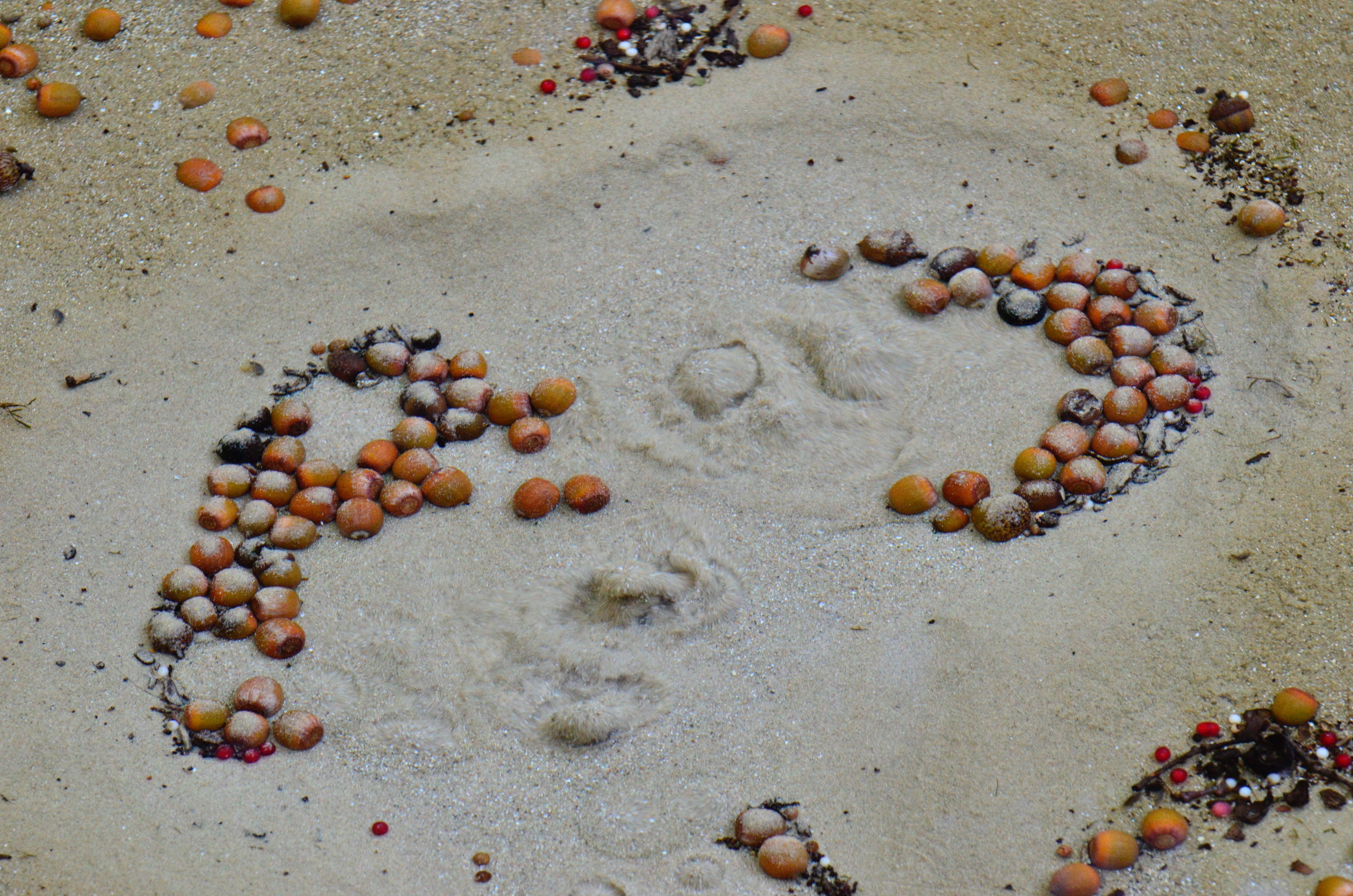 I Am The Buckthorn Man