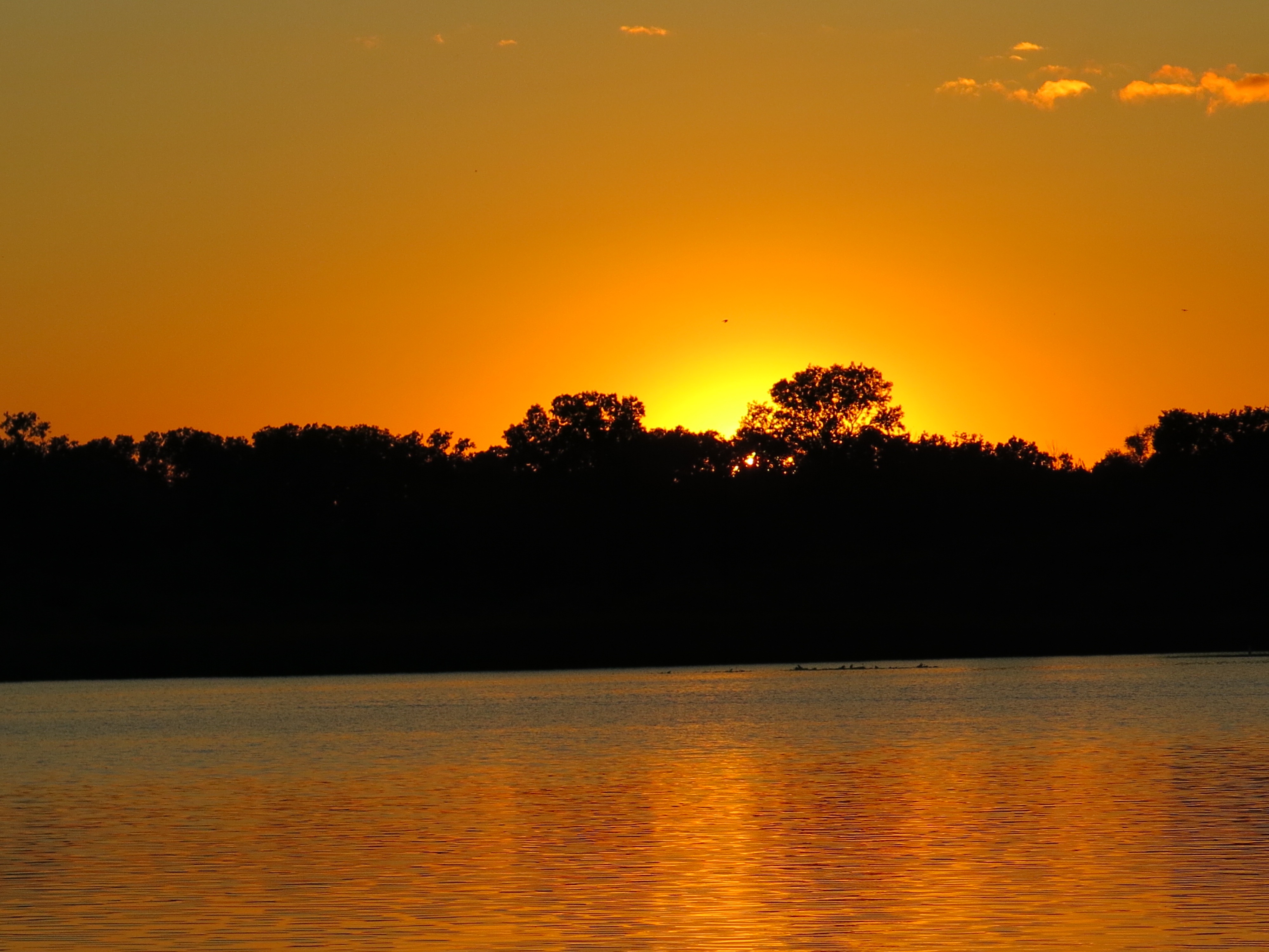 I Am The Buckthorn Man