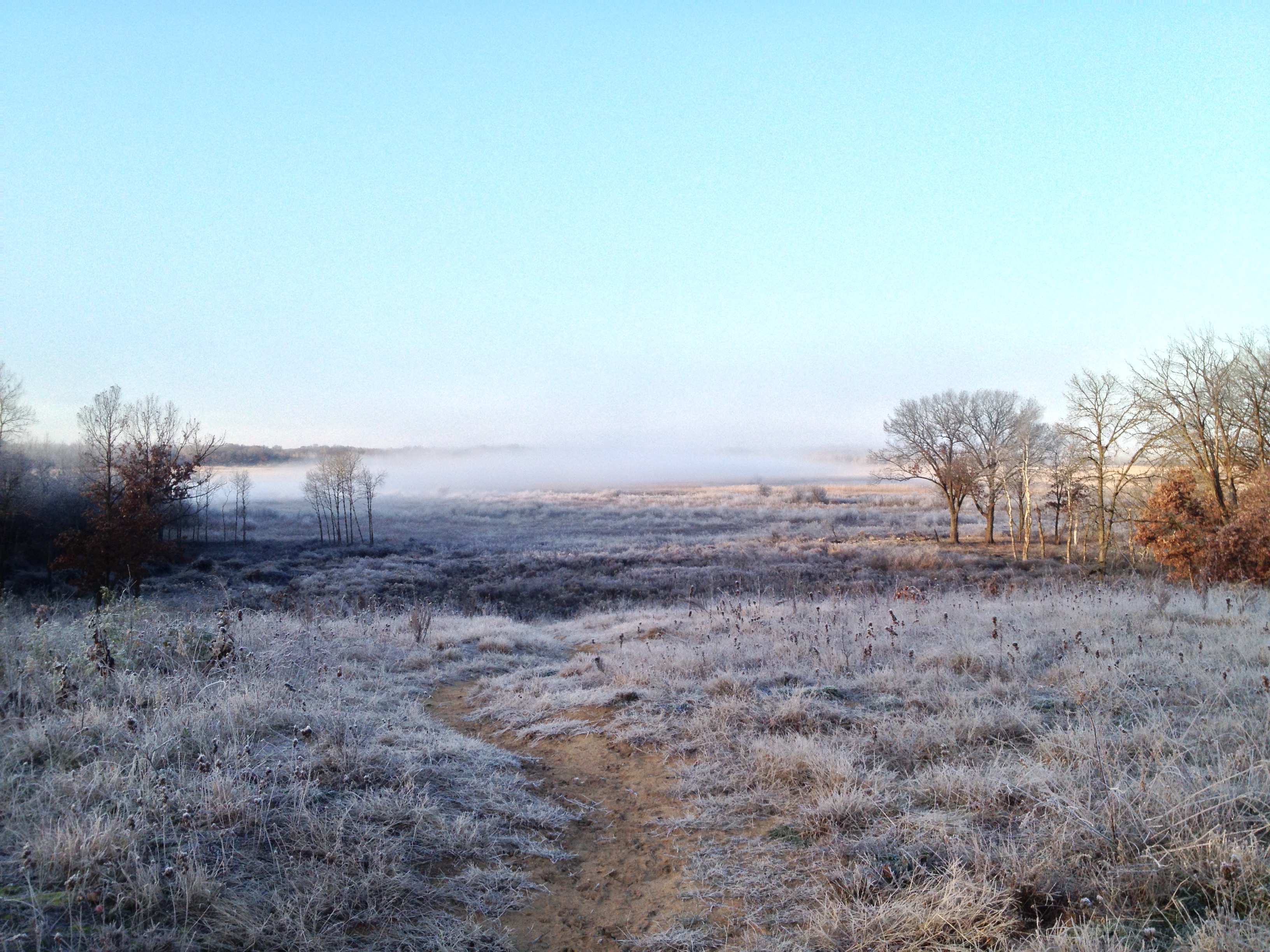 I Am The Buckthorn Man