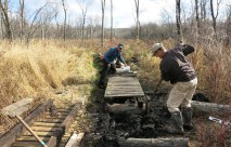 Renovating The Springs