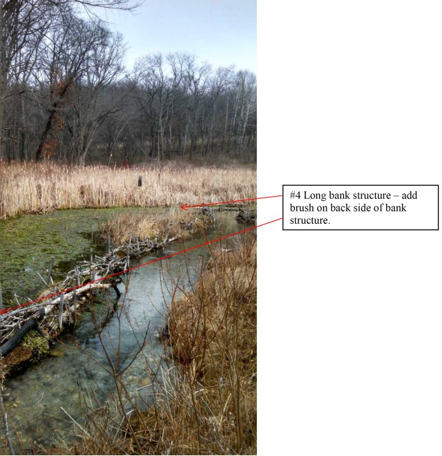 ScuppernongRiverWorksite#4