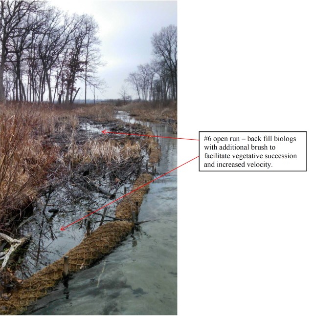 ScuppernongRiverWorksite#6