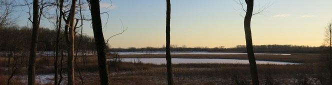 Tis’ the Season to Cut&nbsp;Buckthorn