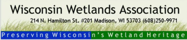 The Fen at Scuppernong&nbsp;Springs